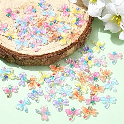 60Pcs 6 Colors Translucent Resin Cabochons&nbsp;RESI-YW0005-76