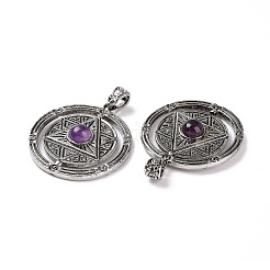 Natural Amethyst Pendants&nbsp;G-L524-05AS-04