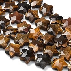 Natural Tiger Eye Beads Strands&nbsp;G-L657-A09-01