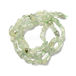 Natural Prehnite Beads Strands&nbsp;G-I389-A19