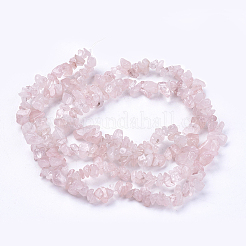 Natural Rose Quartz Stone Bead Strands&nbsp;X-G-R192-03