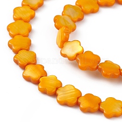 Natural Freshwater Shell Dyed Beads Strands&nbsp;SHEL-K001-001H