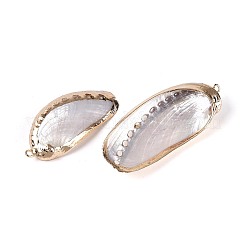 Electroplate Natural Sea Shell Big Pendants&nbsp;SSHEL-T018-18