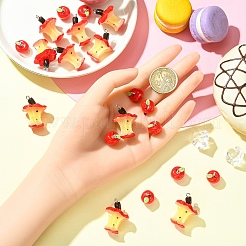 20Pcs 2 Styles Apple Resin Charms&nbsp;RESI-YW0004-67