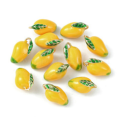 Brass Enamel Charms&nbsp;KK-G462-38LG