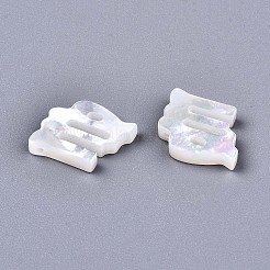 Natural White Shell Beads&nbsp;LS-SSHEL-ZX004-02A