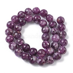 Natural Lepidolite/Purple Mica Stone Beads Strands&nbsp;G-C270-O05-15