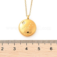 304 Stainless Steel Clear Cubic Zirconia Constellation Pendant Necklaces&nbsp;NJEW-R021-02G-04