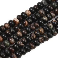 Natural Biotite Beads Strands&nbsp;G-L647-D05-4x6mm