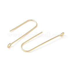 316 Surgical Stainless Steel Earring Hooks&nbsp;X-STAS-Z124-02D-G