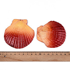 Spray Painted Natural Scallop Shell Big Pendants&nbsp;SSHEL-T017-14D