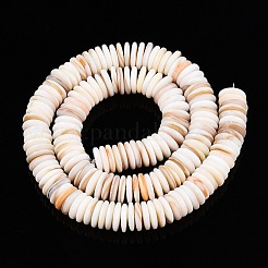 Natural Freshwater Shell Beads Strands&nbsp;SSHEL-T017-02