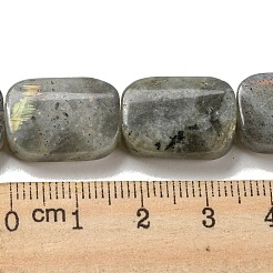 Natural Labradorite Beads Strands&nbsp;G-M420-M02-02