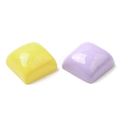 Cartoon Opaque Resin Cabochons&nbsp;RESI-C039-01N