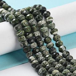 Natural Silver Line Jasper Beads Strands&nbsp;G-Z042-B01-04