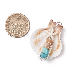 7Pcs 7 Styles Natural Scallop Shell & Dyed Synthetic Turquoise Starfish Pendants&nbsp;PALLOY-JF03564-02