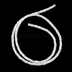 Natural Freshwater Shell Beads Strands&nbsp;X-SHEL-K006-72C