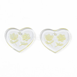 Transparent Resin Pendants&nbsp;RESI-N030-001D