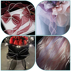 Polyester Organza Ribbons&nbsp;SRIB-WH20020-004B