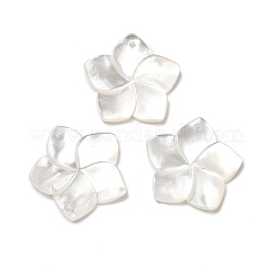 Natural White Shell Mother of Pearl Shell Pendants&nbsp;X-SSHEL-G014-60