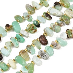 Natural Chrysoprase Beads Strands&nbsp;G-A296-02