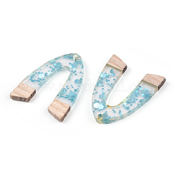 Transparent Resin & White Wood Pendants&nbsp;RESI-N039-53