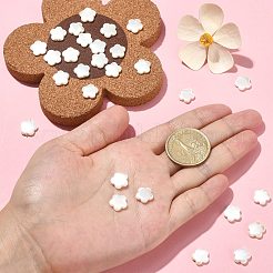 30Pcs Electroplate Natural Freshwater Shell Beads&nbsp;SHEL-CJ0001-26