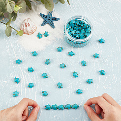 DIY Tortoise Bead Stretch Bracelets Making Kits&nbsp;DIY-SC0015-28A-A