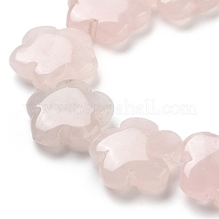 Natural Rose Quartz Beads Strands&nbsp;G-F769-X01-02