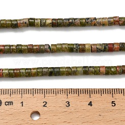 Natural Unakite Beads Strands&nbsp;G-Z110-A24-2x4mm
