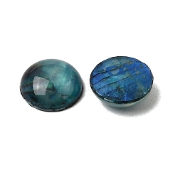 Abalone Shell/Paua Shell Cabochons&nbsp;X-SSHEL-K003-8MM