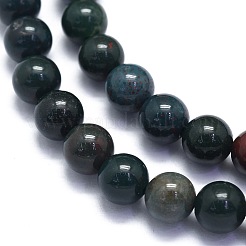 Natural Bloodstone Beads Strands&nbsp;G-K310-C04-6mm