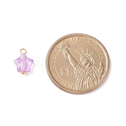 Glass Charms&nbsp;PALLOY-JF01731