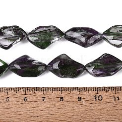 Handmade Lampwork Beads Strands&nbsp;LA-N046-02B