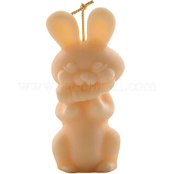 Easter Rabbit DIY Acrylic Candle Molds&nbsp;PW-WG43124-01