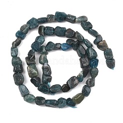Natural Apatite Beads Strands&nbsp;G-F821-F01-01