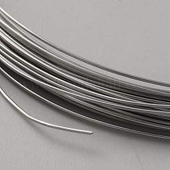 316 Stainless Steel Wires&nbsp;TWIR-WH0002-23F-P