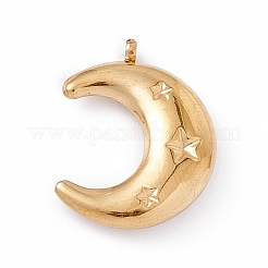 Ion Plating(IP) 304 Stainless Steel Pendants&nbsp;STAS-E173-01G