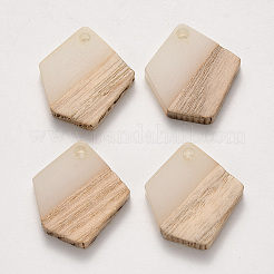 Resin & Wood Pendants&nbsp;RESI-S384-003A