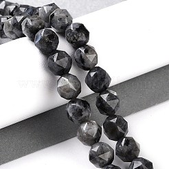 Natural Larvikite Beads Strands&nbsp;G-NH0021-A04-01