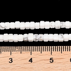 Natural Howlite Beads Strands&nbsp;G-G345-C01-2x4mm