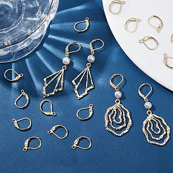 50Pcs 304 Stainless Steel Leverback Earring Findings&nbsp;STAS-BBC0001-44G