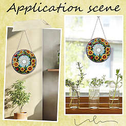Acrylic Hanging Ornaments Sets&nbsp;FIND-WH20019-19A