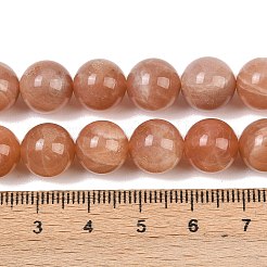Natural Sunstone Beads Strands&nbsp;G-G323-A01-10mm