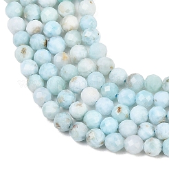 Natural Larimar Beads Strands&nbsp;G-B175-D08-4mm