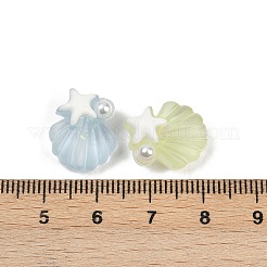 Frosted Transparent Resin Enamel Beads&nbsp;RESI-L047-24