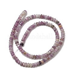 Natural Lepidolite/Purple Mica Stone Beads Strands&nbsp;G-A294-A01-01
