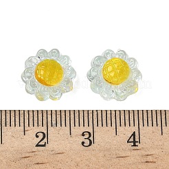 Translucent Resin Beads&nbsp;RESI-D312-04D