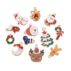 24Pcs 12 Style Alloy Enamel Pendants&nbsp;FIND-CW0001-18