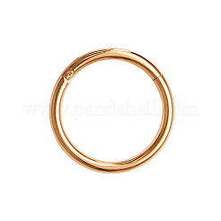 316L Surgical Stainless Steel Hoop Cartilage Earrings&nbsp;WGB51CA-67